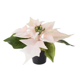 Kunstig julestjerne - MINI, Peach 10 cm.