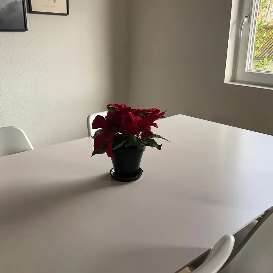 Kunstig julestjerne, rød 23 cm.