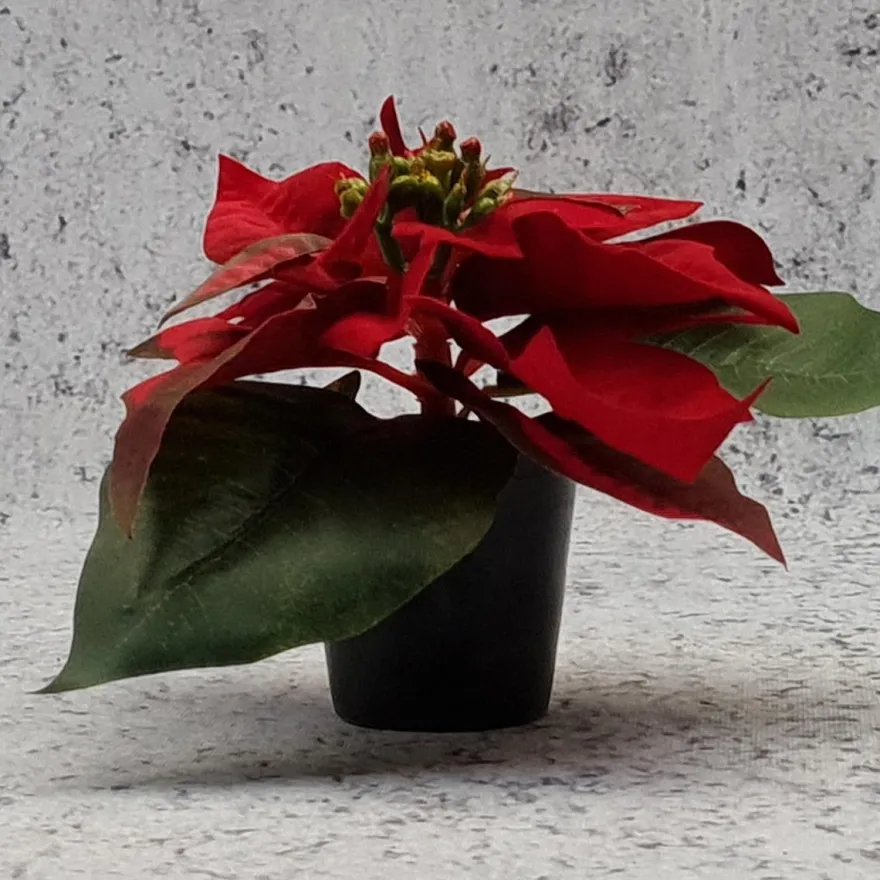 Kunstig mini julestjerne, rød 10 cm.