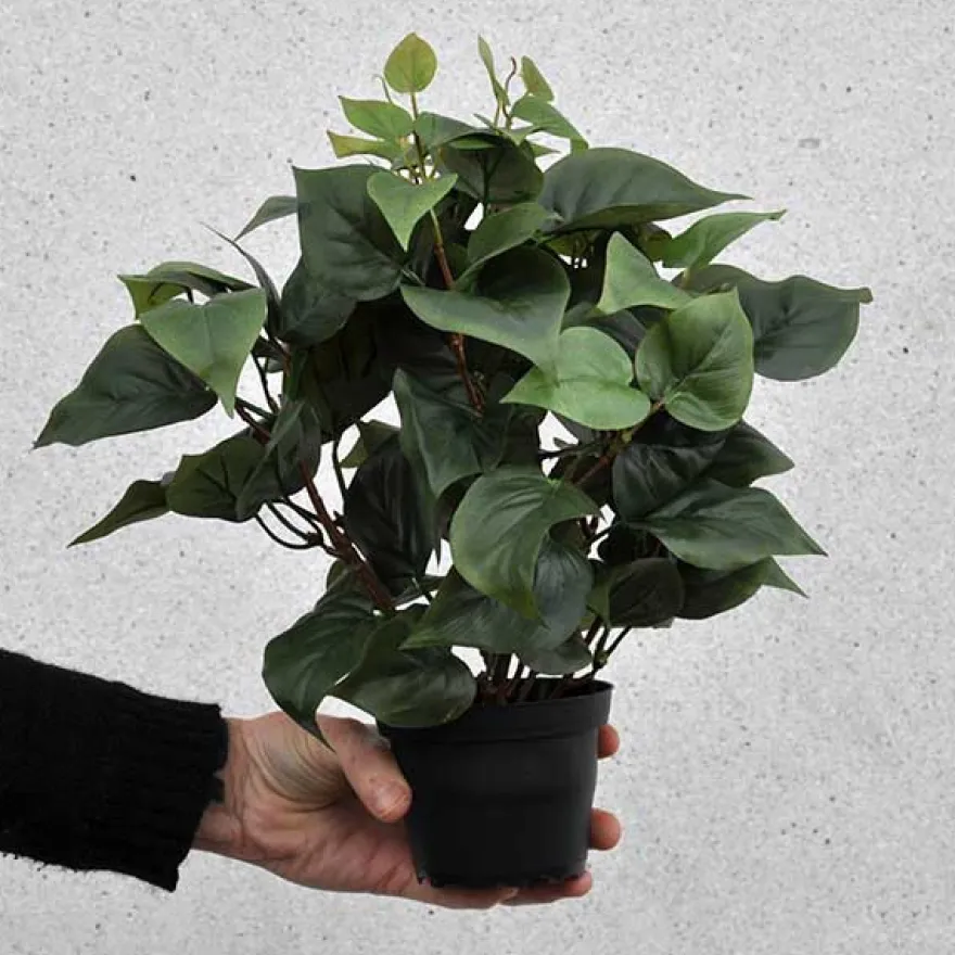 Kunstig Philodendron
