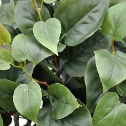 Kunstig Philodendron