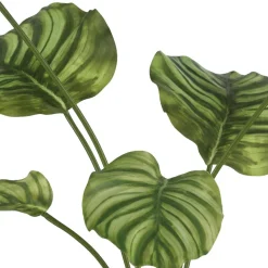 Kunstig plante - Calathea 55 cm. grøn