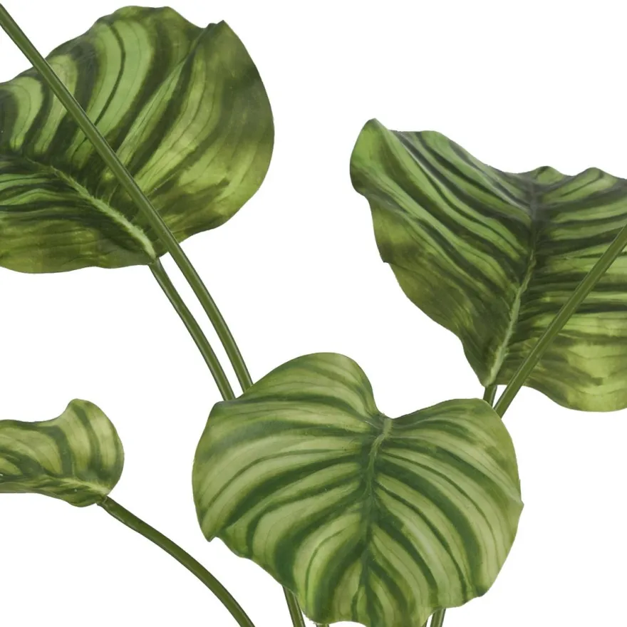 Kunstig plante - Calathea 55 cm. grøn