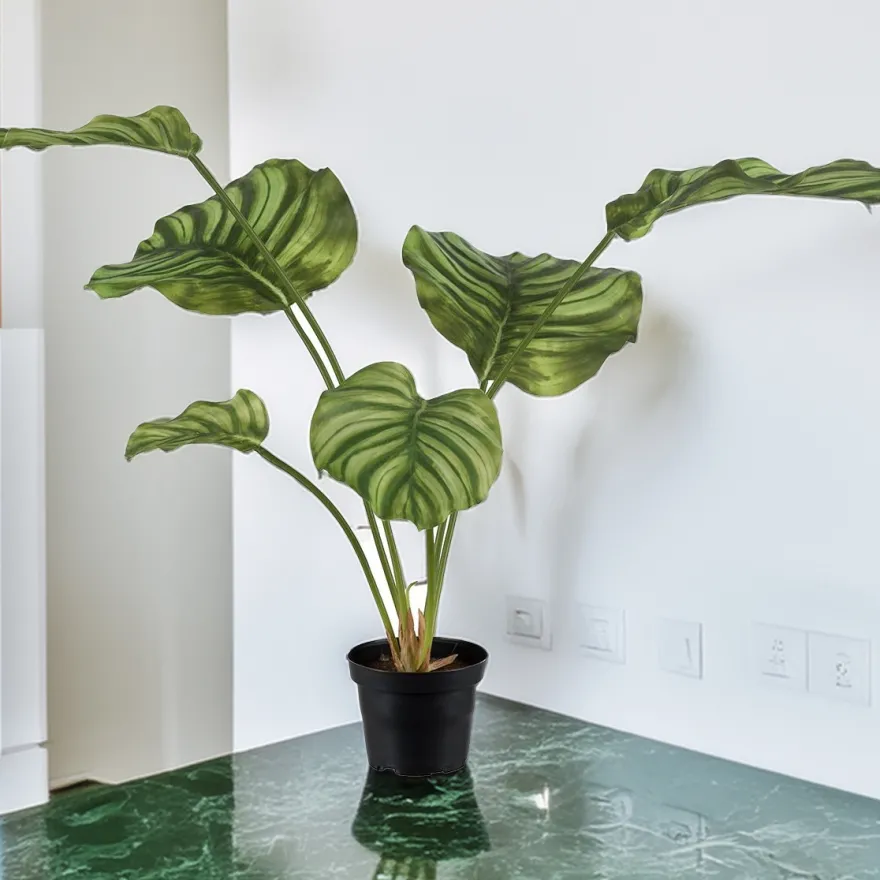 Kunstig plante - Calathea 55 cm. grøn