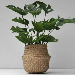 Kunstig plante - 30 cm. Monstera