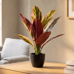 Kunstig Plante - Cordyline, Grøn/Rød, 38 cm