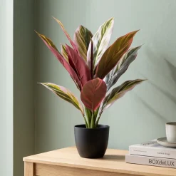 Kunstig Plante - Cordyline, Grøn/Rød, 38 cm