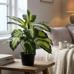 Kunstig Plante - Dieffenbachia, Grøn, 40 cm