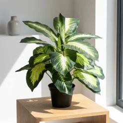 Kunstig Plante - Dieffenbachia, Grøn, 40 cm