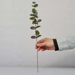 Kunstig plante - Eucalyptus stilk 40 cm.