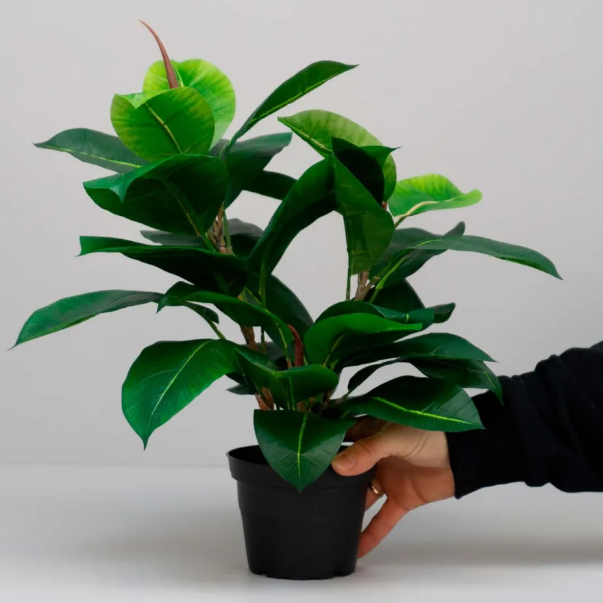 Kunstig Plante - Fikus Robusta, Grøn, 37 cm