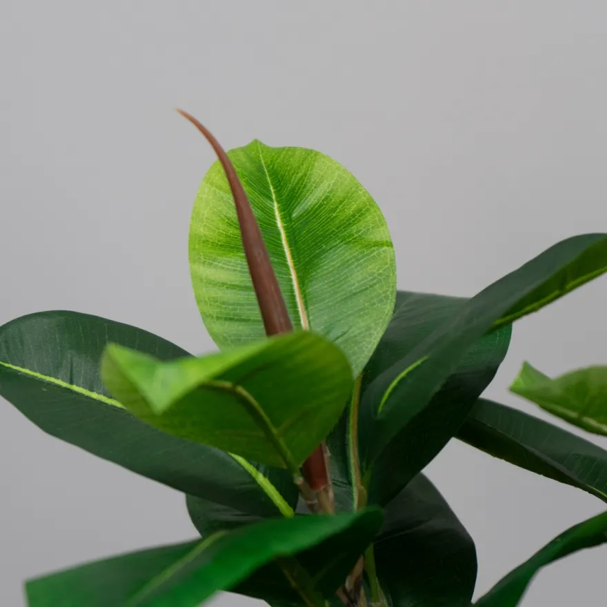 Kunstig Plante - Fikus Robusta, Grøn, 37 cm
