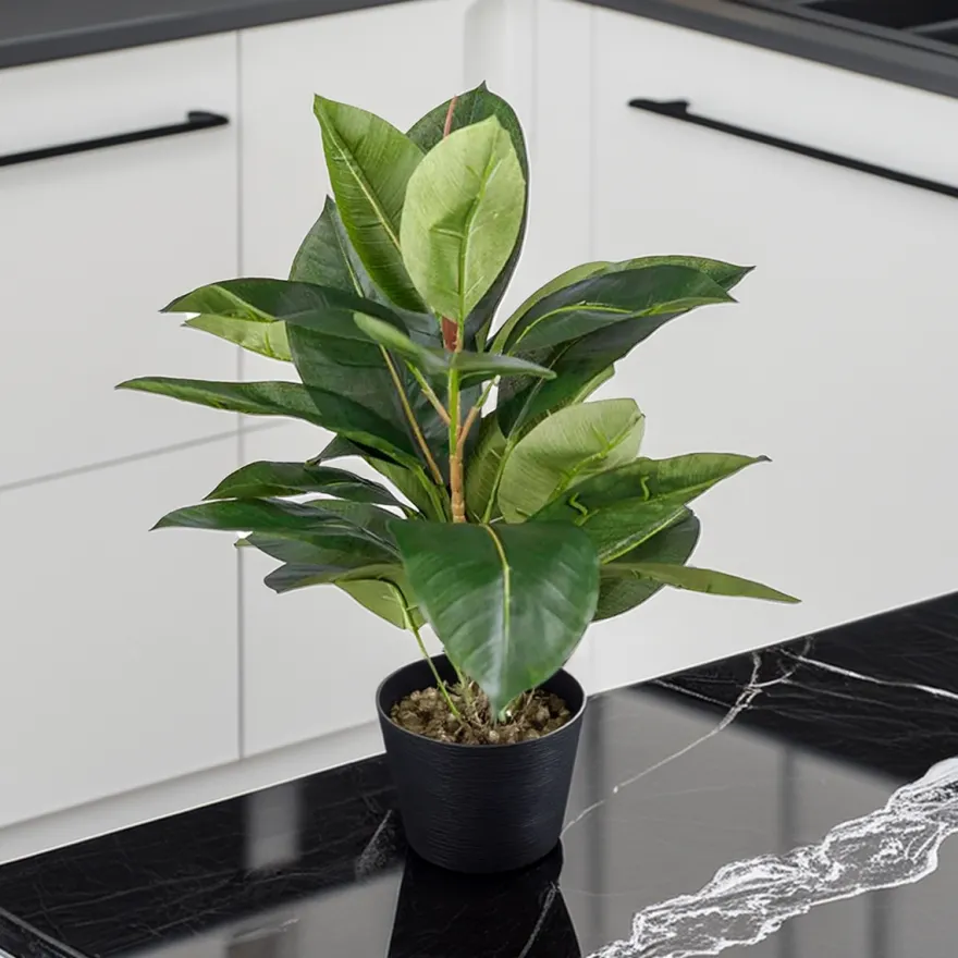 Kunstig Plante - Fikus Robusta, Grøn, 37 cm