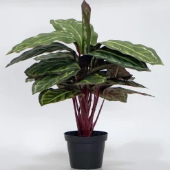 Kunstig Plante - Maranta 48 cm