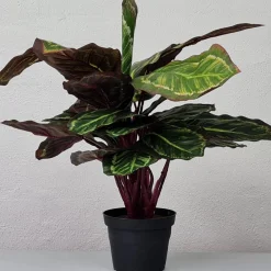 Kunstig Plante - Maranta 48 cm