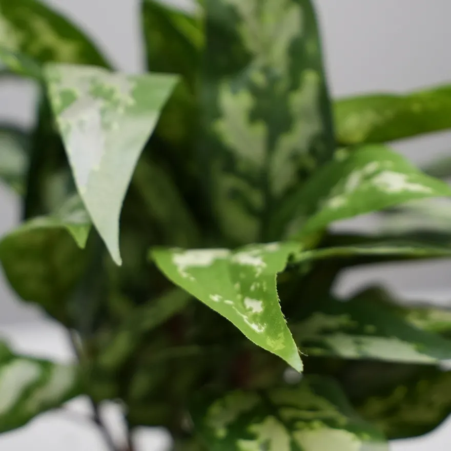 Kunstig Plante - Sømandstrøst, Grøn, 35 cm