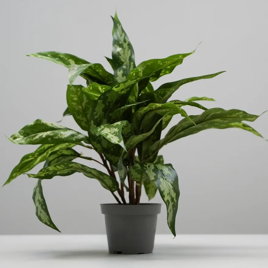 Kunstig Plante - Sømandstrøst, Grøn, 35 cm