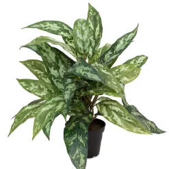 Kunstig Plante - Sømandstrøst, Grøn, 35 cm