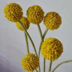 Kunstig plante - Trommestikker 60 cm. gul