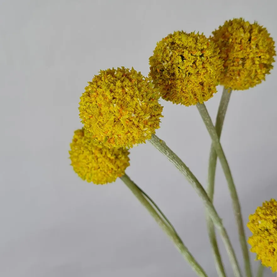 Kunstig plante - Trommestikker 60 cm. gul