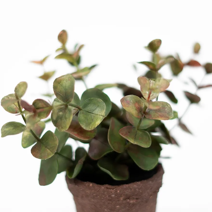 Lille kunstig eucalyptus plante i minipotte - Grøn