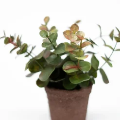 Lille kunstig eucalyptus plante i minipotte - Grøn