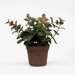 Lille kunstig eucalyptus plante i minipotte - Grøn