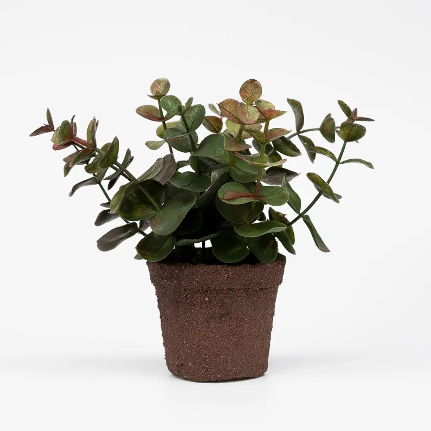 Lille kunstig eucalyptus plante i minipotte - Grøn