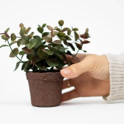 Lille kunstig eucalyptus plante i minipotte - Grøn