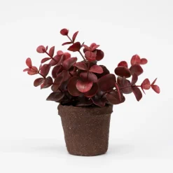 Lille kunstig eucalyptus plante i minipotte - Rød