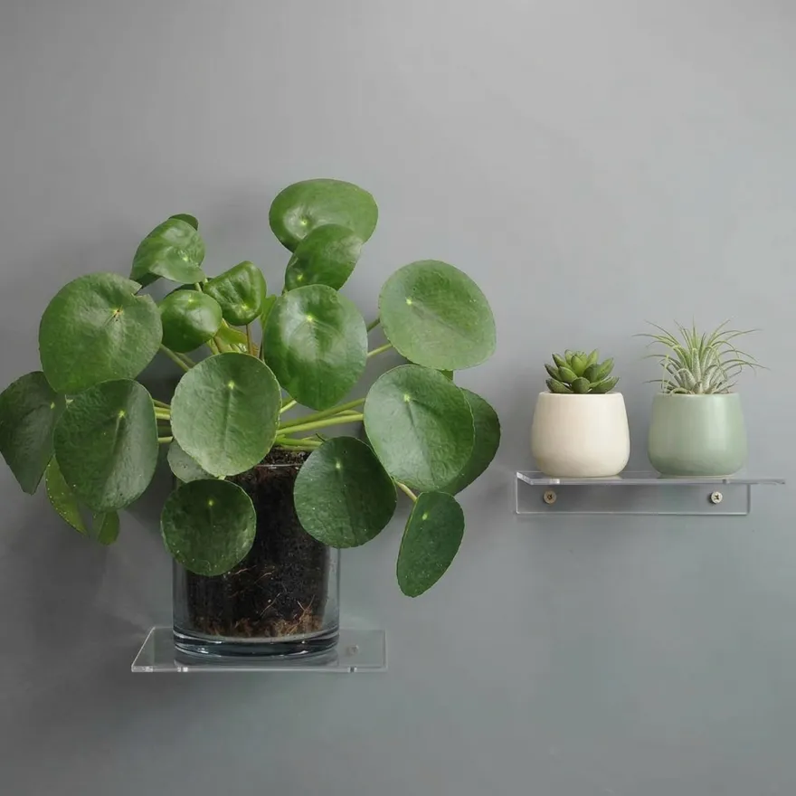 Modena akryl minihylder - Brede - Sæt med 2 stk - 14x14 cm.