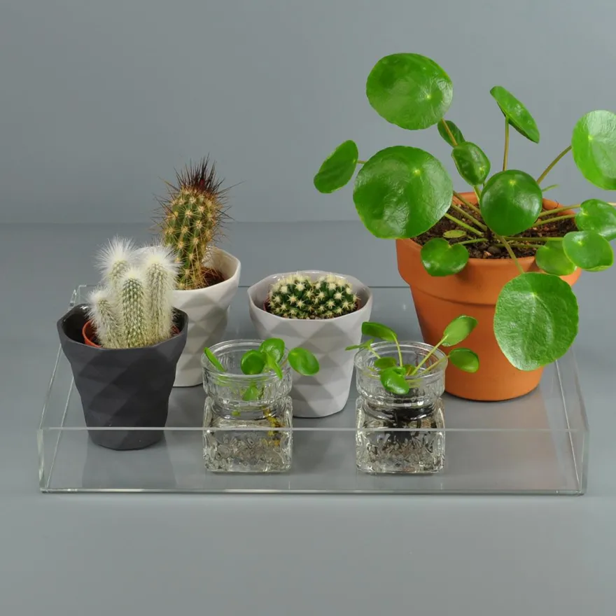 Modena bakke i akryl 20x30x4cm - Rektangulær