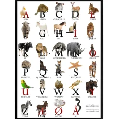 Plakat - ABC plakat med dyr