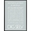 Plakat - Den positive jantelov - colors