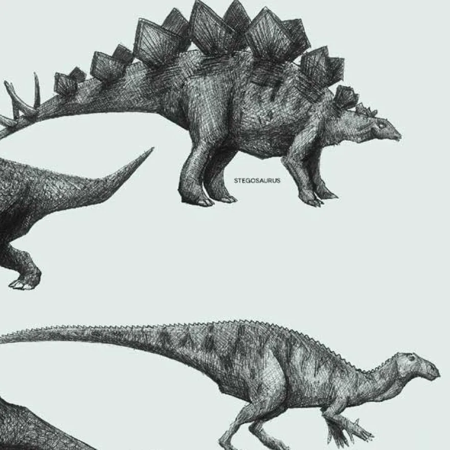 Plakat - Dinosaurer, Grøn. Vælg str.