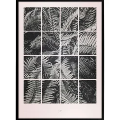 Plakat - Fern puzzle