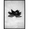 Plakat - Greyish flower