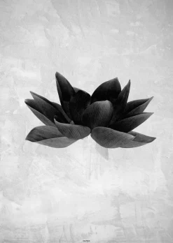 Plakat - Greyish flower