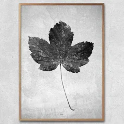 Plakat - Greyish Maple