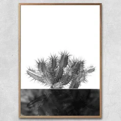 Plakat - Kaktus no.2