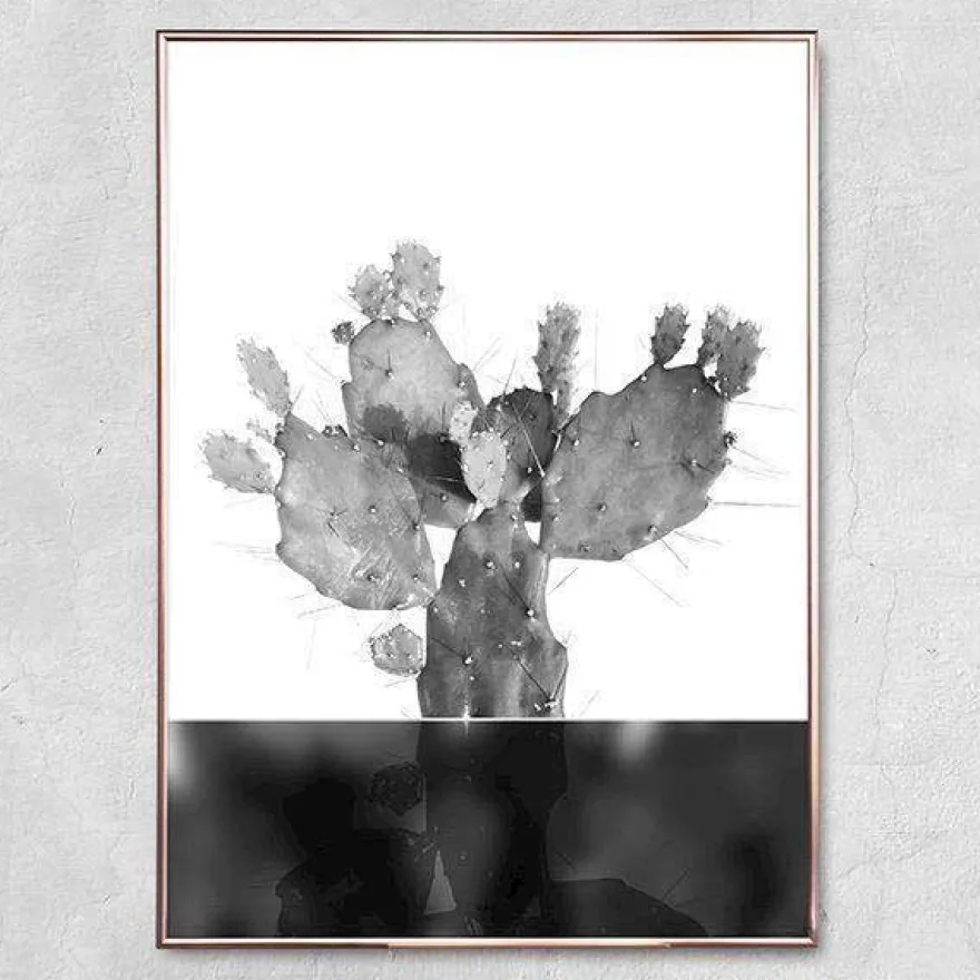 Plakat - Kaktus no.3