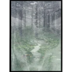 Plakat - Misty forest