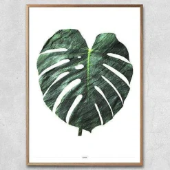 Plakat - Monstera, grøn
