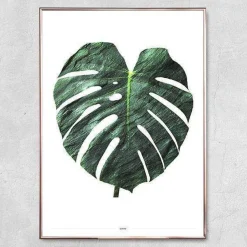 Plakat - Monstera, grøn