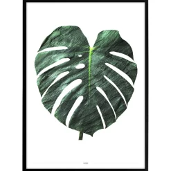 Plakat - Monstera, grøn