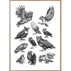 Plakat - Ugler, sort/hvid