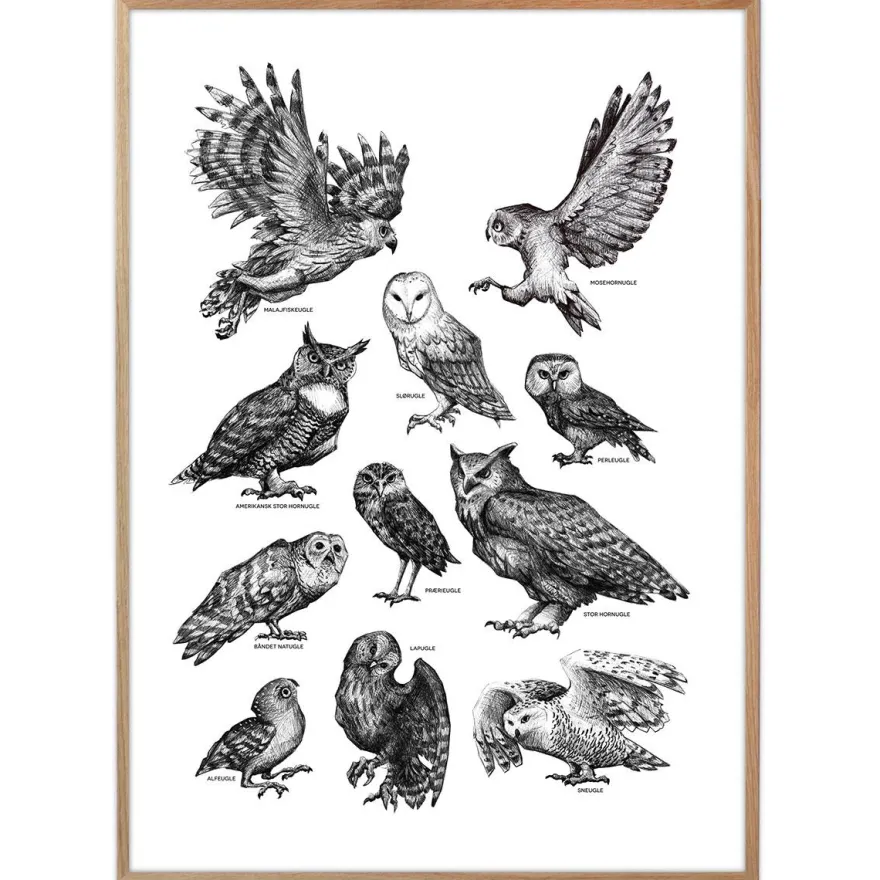 Plakat - Ugler, sort/hvid