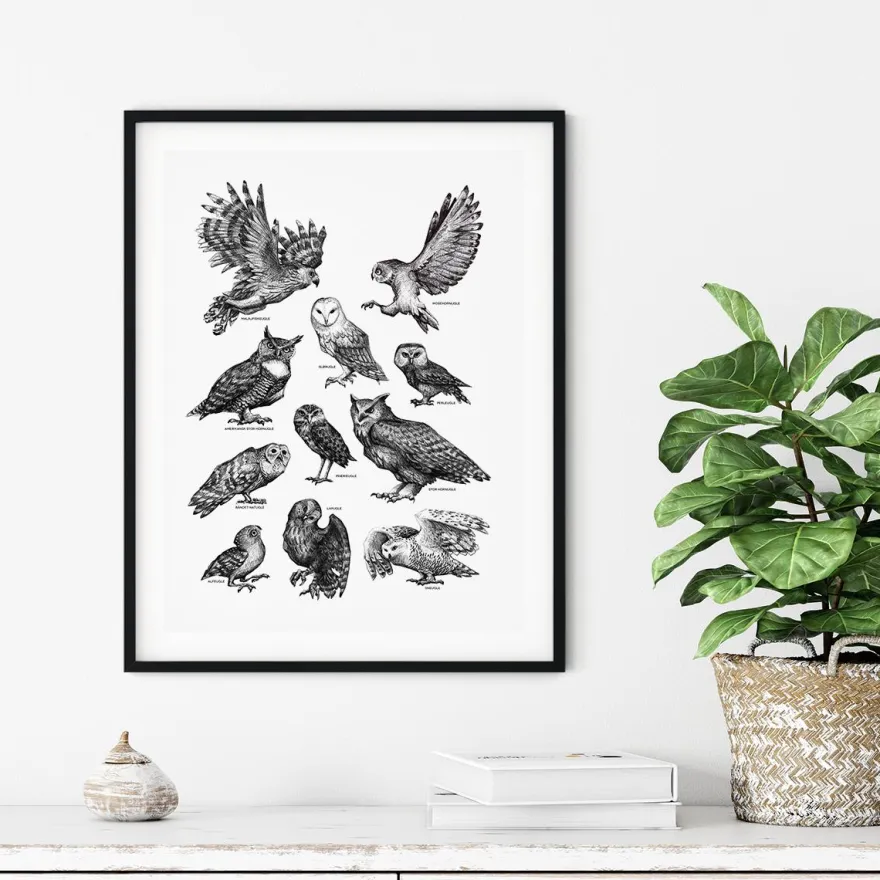 Plakat - Ugler, sort/hvid