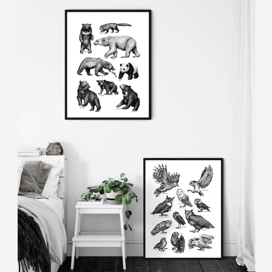 Plakat - Ugler, sort/hvid