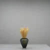 Tørrede Blomster - Briza Maxima, Cremehvid